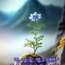 느낌 이미지