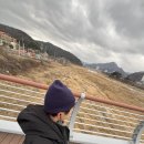 주문진입구~주문진터미널 구간 연주로 | 정동진 레일바이크 타려고 했다가 갑자기 평창 송어축제 혼자 갔다온 썰 푼다 ㅋㅋ 평창송어축제 후기