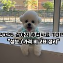 관문제 | 2025 강아지 사료 추천 TOP5 -눈물 많은 강아지 (비숑)