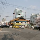 앵화탕