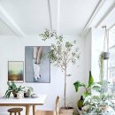 플랜테리어 이미지