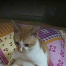 플랜비(PLANB) 이미지