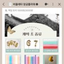 비올레타 앙금플라워