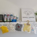 도기그룸 이미지