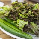 조은보리밥 이미지