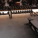 구디라이프 이미지