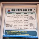순천만풍경 | 순천만국가정원 스카이큐브｜아이도 반한 순천만습지의 황금빛 노을