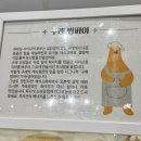 🐻구례역 제과점 | 구례 밤파이와 우리밀 디저트가 반겨주는 감성 제과점