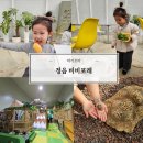 더 포레 동물병원 | 정읍 아이랑 비비포레 동물체험 먹이주기 실내 놀이터 정글플레이존 식물원