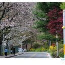 우암산순환로 이미지