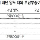 1가구 2주택 부담부증여 절세 방아도 있네요. 이미지