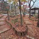 도시숲 산책길 이미지