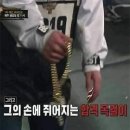 홍천 휴가 1박2일(부제:반려견동반 독채펜션🌲두지네윗집🌲 후기)