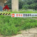 상보안세월교 이미지