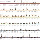 요가로움 이미지