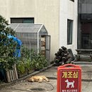 부처스인제주