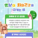 멍냥이의 하루