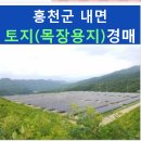 홍천군내면방내보건진료소 | 홍천군 토지(목장용지) 경매, 내면 방내리 토지(목장용지) 경매