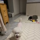 [역곡 횟집]탐나종합어시장 후기!!