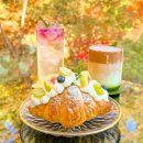 하우카페 이미지