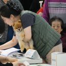 부암1동-4 이미지