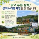 누리유치원 - 김포시 | 그림책으로 피어나는 유아 하브루타 질문놀이! 삼척누리유치원 교사 연수 후기