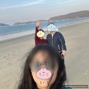 해양종합건어물
