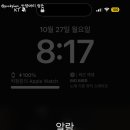 안녕,고양이 이미지