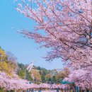 우방빨래터 네이버블로그