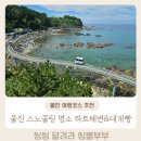 선도민박 | 왓츠인마이블로그 울진 스노쿨링 명소 죽변 하트해변에서 스노쿨링하고 대게빵 먹은 후기