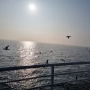 인테리어연구소