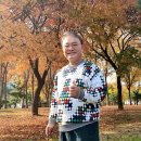 단풍하하 이미지
