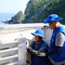 울릉서비스 이미지