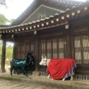 투투정비 | 반려동물 동반가능한 남이섬 투투별장 청설모 1박2일 숙박 후기