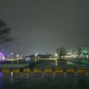 남구-098 네이버블로그