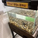 대창IC주유소 네이버블로그