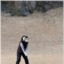 경남 | 밀양 노벨 CC 겨울 골프라운딩 후기 경남 골프장 추천