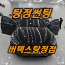 루마버텍스아산탕정점 이미지