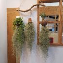 제이 헤어 샵(J HAIR ) 이미지