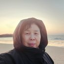 선비콩/메주콩/파란찰콩/노란차조/개성약과할인판매중 이미지