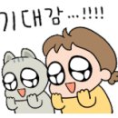 법무법인강녕 이미지