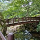 시티원부동산중개 이미지