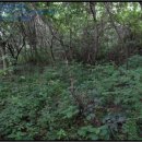 구산면580 이미지