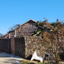 더비치 필로스펜션 | 포항 구룡포 독채 풀빌라 펜션 발리 감성의 느좋 숙소 울루와뚜비치하우스