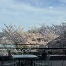 탐엔탐스 | 해운대 달맞이 벚꽃뷰 카페 추천 🌸 탐앤탐스 달맞이점 후기