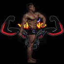 바이킹짐 이미지