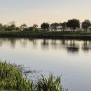 구포고가교 이미지