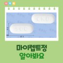 정*정