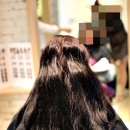 참빗헤어 - 논산시 | 참빗헤어