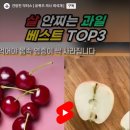 베스트과일